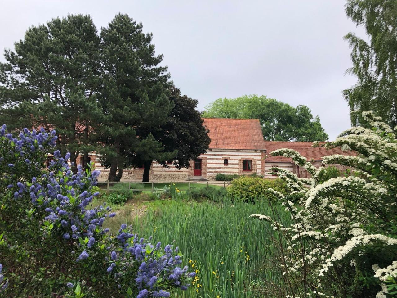Villa La Ferme De Mezoutre Vironchaux Exterior foto